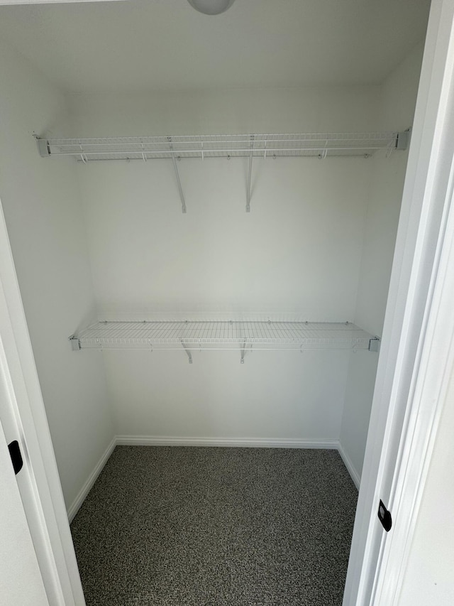 spacious closet featuring dark colored carpet