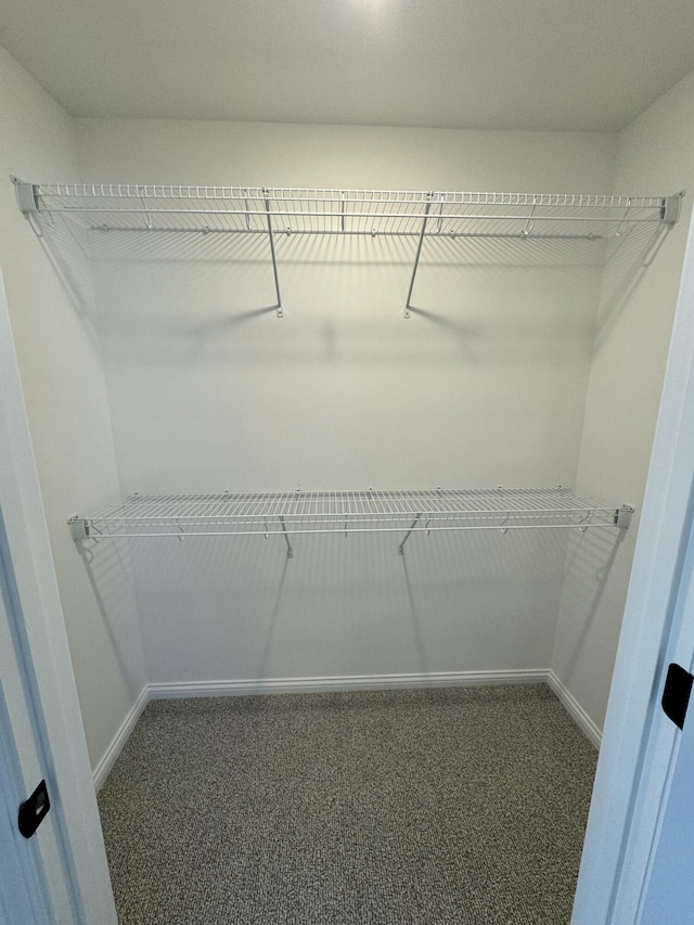 spacious closet featuring dark colored carpet