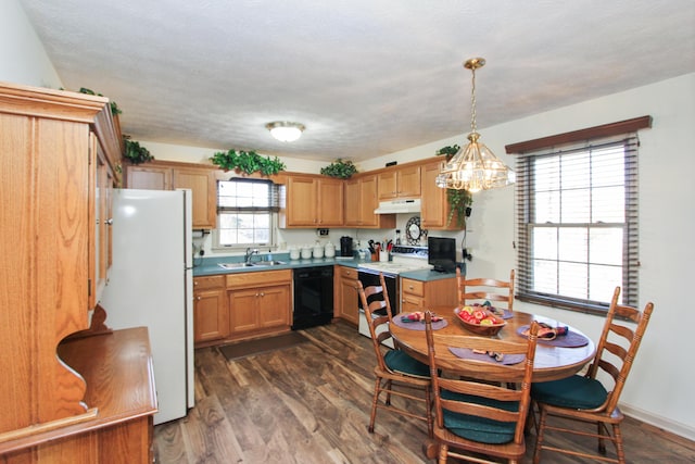 kitchen with pendant lighting, dark wood-type flooring, black appliances, sink, and a textured ceiling