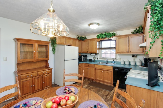 kitchen with dark hardwood / wood-style flooring, sink, white fridge, and black dishwasher