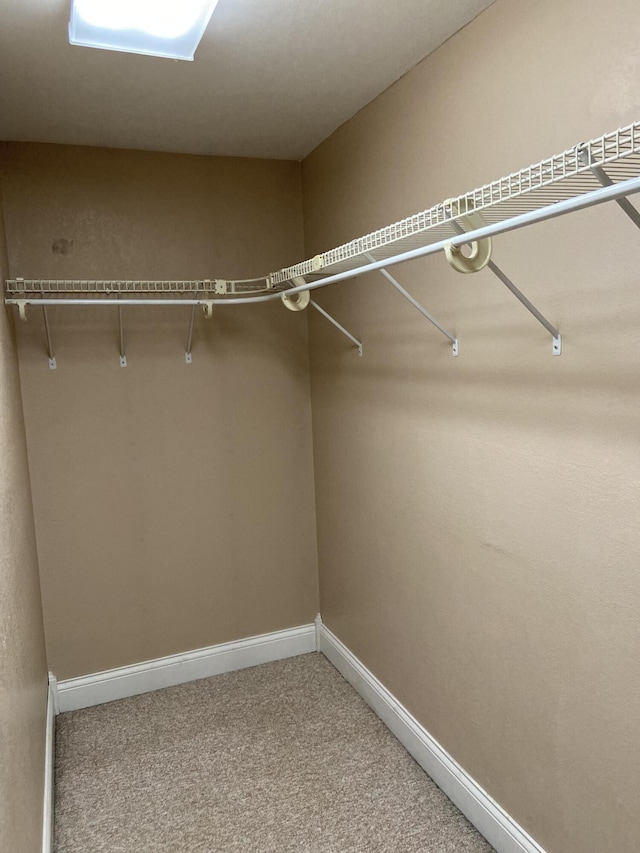 walk in closet with carpet floors