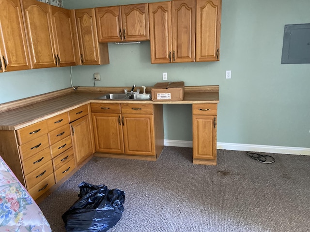 kitchen with carpet, electric panel, and sink