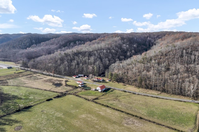 aerial view featuring a mountain view and a rural view