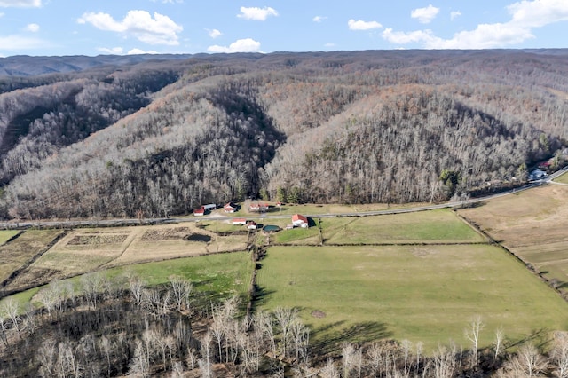 bird's eye view featuring a rural view