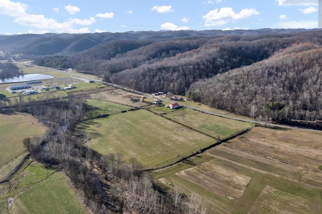 birds eye view of property featuring a mountain view and a rural view