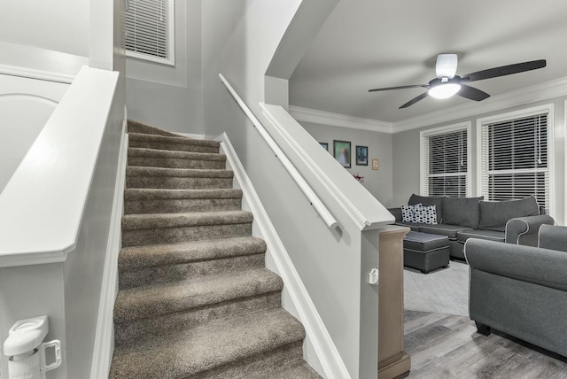 stairway with ceiling fan, wood-type flooring, and crown molding