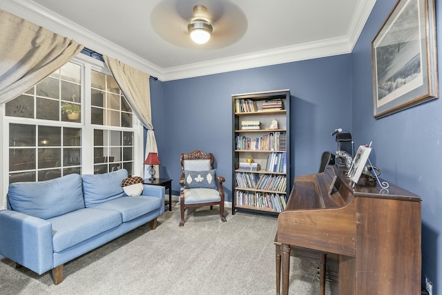 office area with ceiling fan, carpet, and ornamental molding