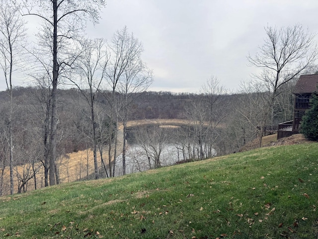 view of water feature