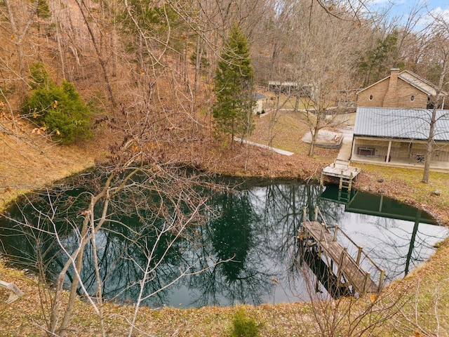 dock area featuring a water view