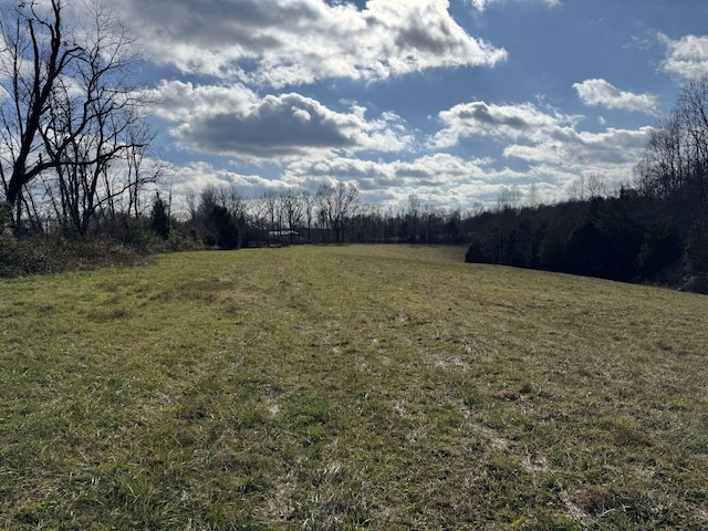 Listing photo 3 for 1111 Clear Branch Rd, Liberty KY 42539