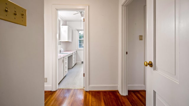 corridor with dark hardwood / wood-style flooring, ornamental molding, and sink