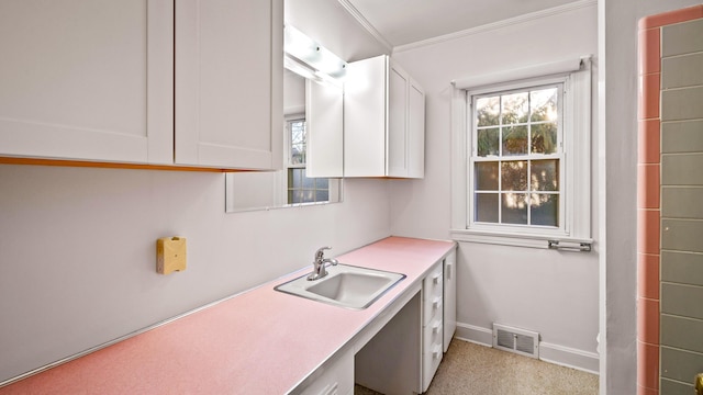 laundry area featuring light colored carpet, ornamental molding, and sink