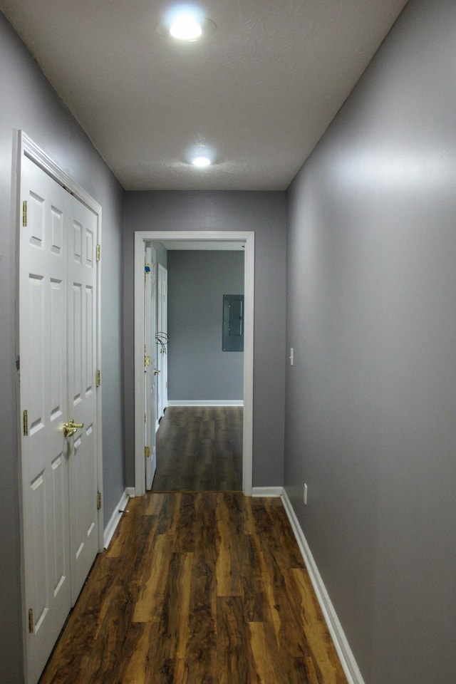 hallway with dark hardwood / wood-style flooring and electric panel