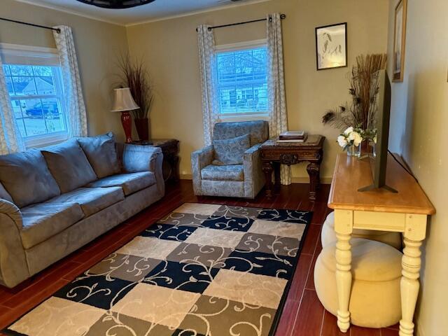 living room featuring hardwood / wood-style floors and ornamental molding