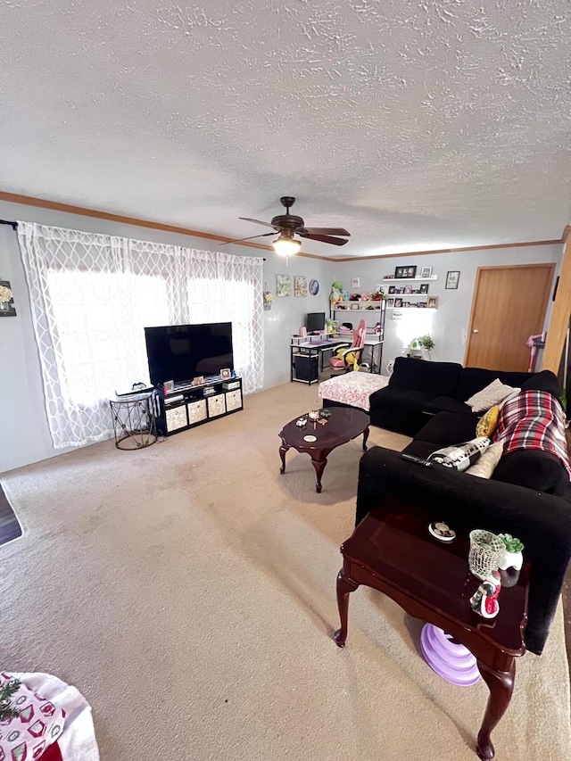 living room featuring carpet, ceiling fan, and a textured ceiling