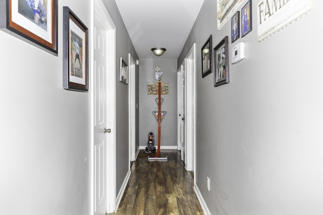 hall featuring dark hardwood / wood-style flooring