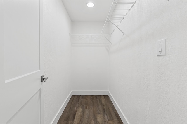 spacious closet featuring hardwood / wood-style floors