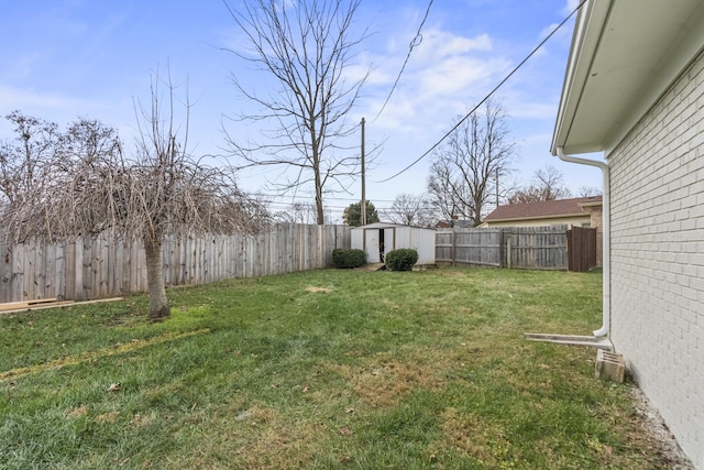 view of yard featuring a shed