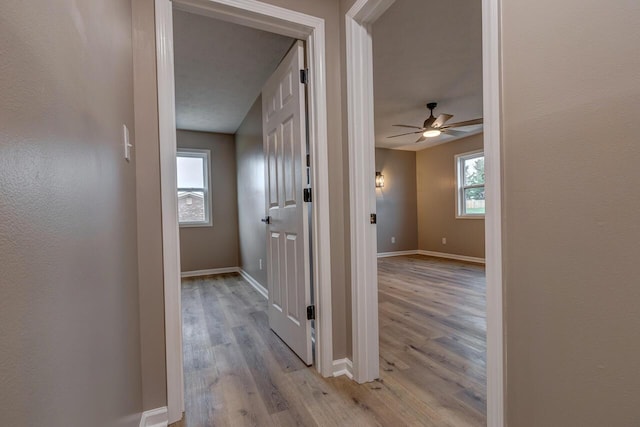 corridor featuring light wood-type flooring