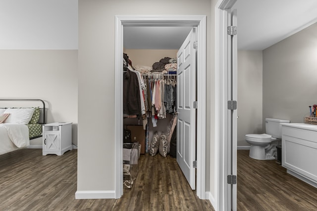 interior space featuring vanity, toilet, and wood-type flooring