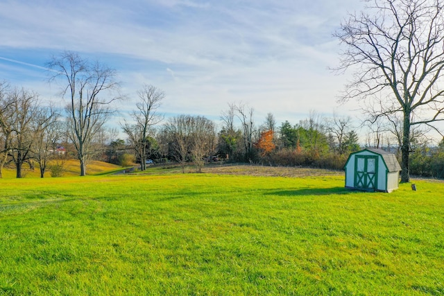 view of yard featuring a storage unit