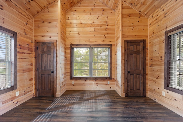 entryway featuring high vaulted ceiling, a wealth of natural light, and wood walls