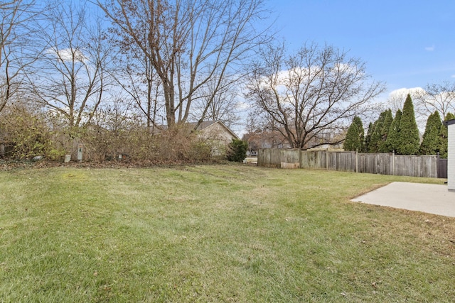 view of yard featuring a patio area