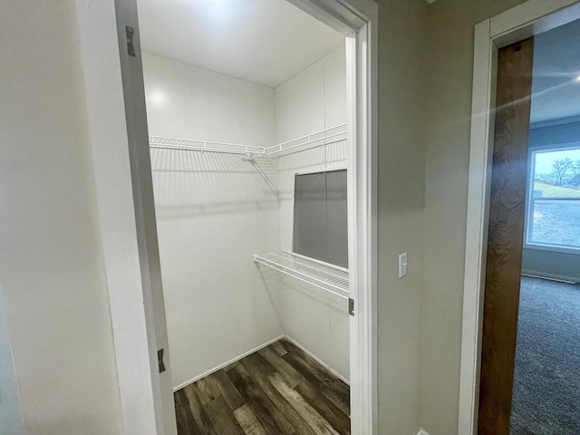 spacious closet with dark hardwood / wood-style flooring