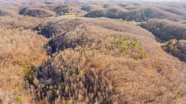 aerial view with a mountain view