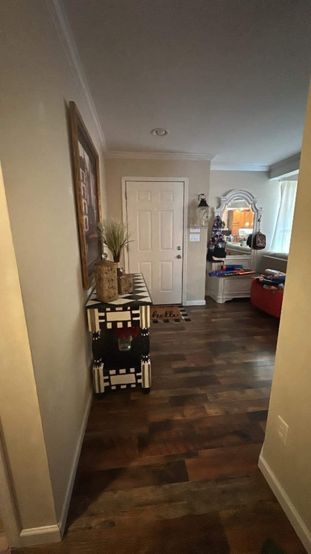 hallway featuring dark wood-type flooring and ornamental molding