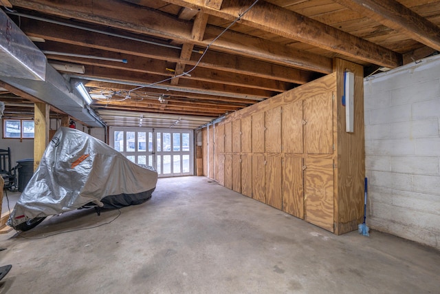 basement with plenty of natural light