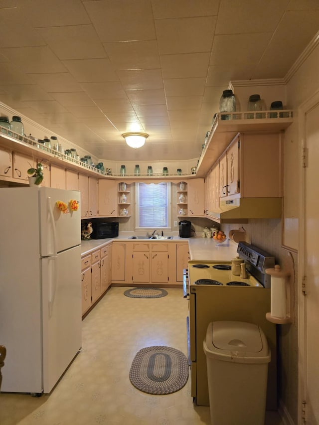 kitchen featuring crown molding, sink, and white appliances