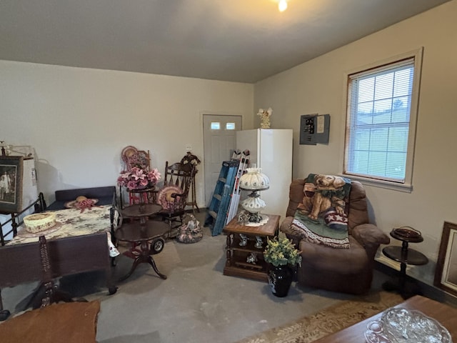 interior space featuring carpet