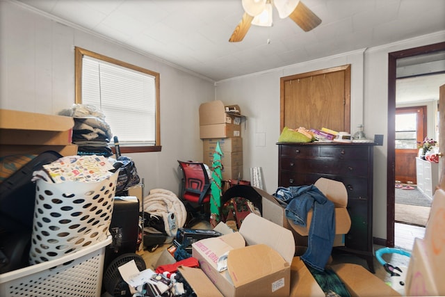 interior space with ceiling fan and crown molding