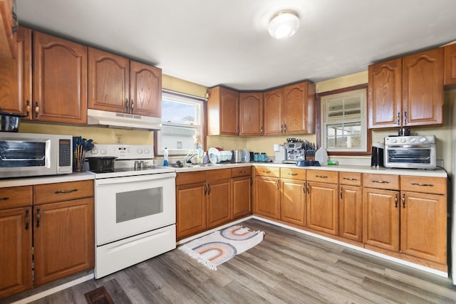 kitchen with hardwood / wood-style floors, white electric range oven, and sink