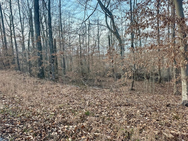 TRACT10 Campbell Rd, Nancy KY, 42544 land for sale