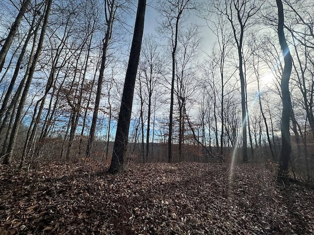 Listing photo 2 for 31.22AC Beauchamp Rd, Burkesville KY 42717