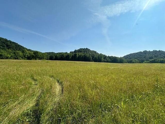 LOT10 Lawsons Bottom Rd, Burkesville KY, 42717 land for sale