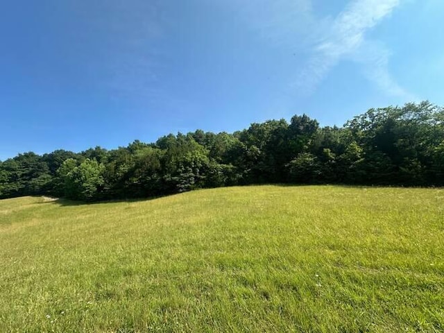 Listing photo 2 for LOT10 Lawsons Bottom Rd, Burkesville KY 42717