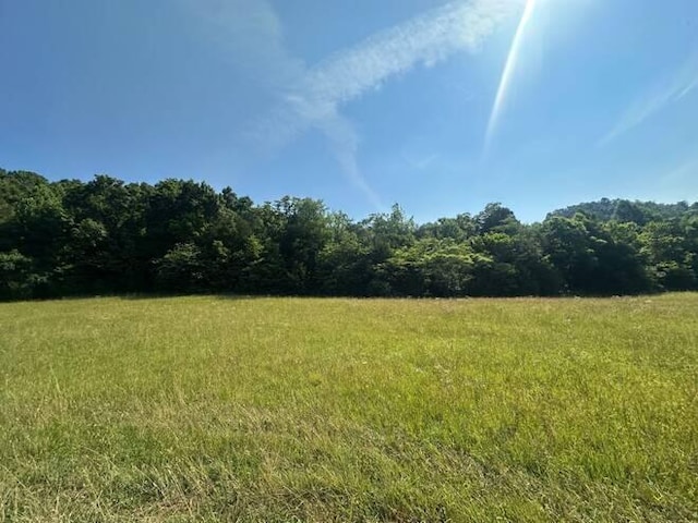 Listing photo 3 for LOT10 Lawsons Bottom Rd, Burkesville KY 42717