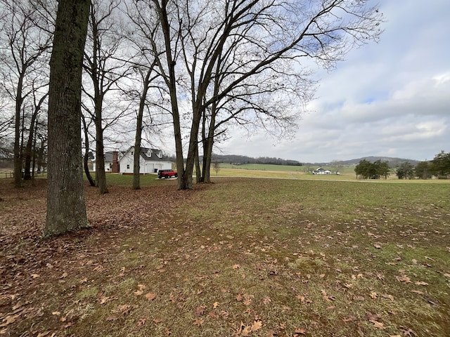 view of yard featuring a rural view