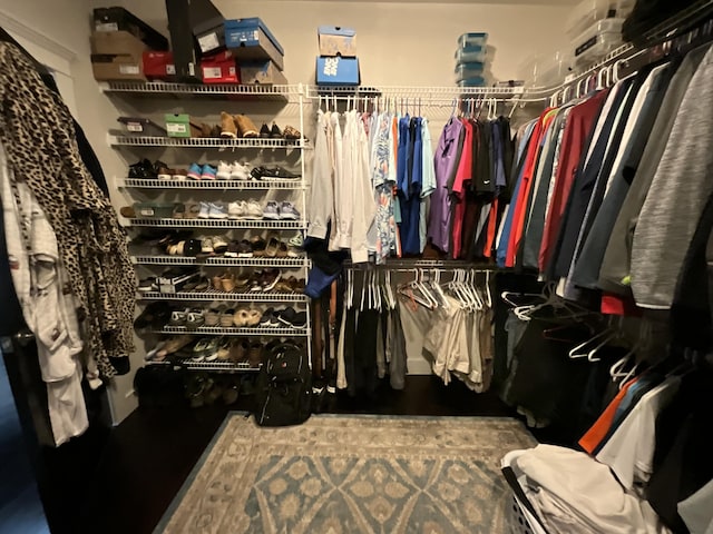 view of spacious closet