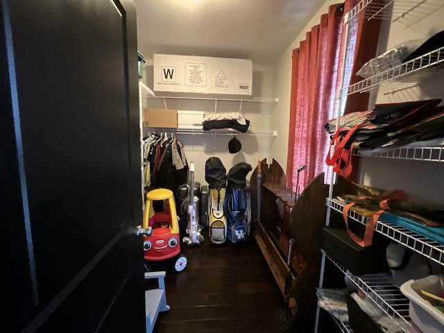 walk in closet featuring dark hardwood / wood-style flooring