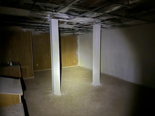 basement with wooden walls