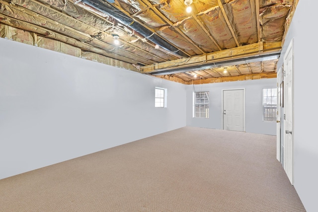 basement featuring carpet and plenty of natural light