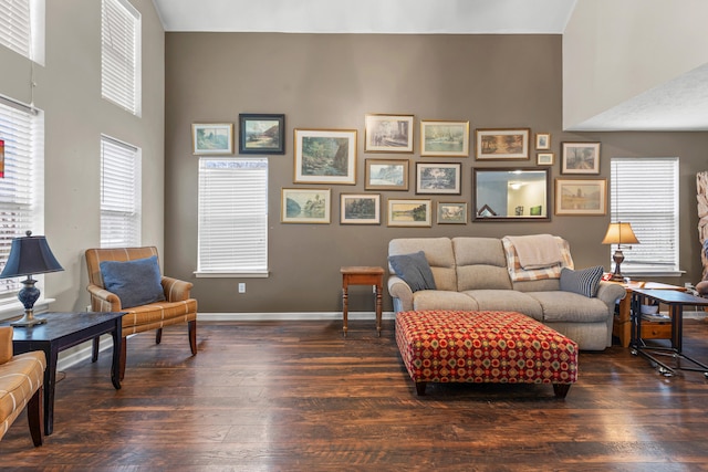 living room featuring a high ceiling and dark hardwood / wood-style floors