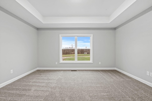 spare room with carpet flooring and a tray ceiling