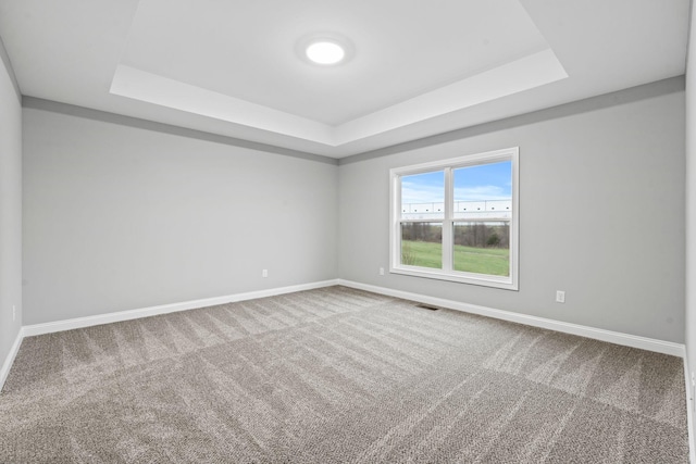 carpeted spare room featuring a raised ceiling