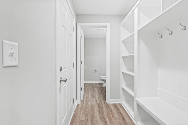 spacious closet featuring light wood-type flooring