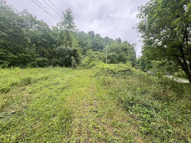 551 Lost Fork Rd, Manchester KY, 40962 land for sale